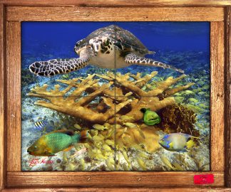 "Cruising Hawksbill" Tile Mural