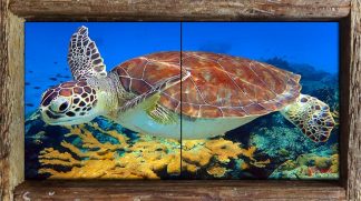 "Cruising Over the Reef" 2 Tile Mini Mural