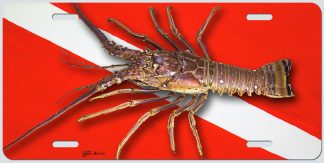 "Diver Down Lobster"