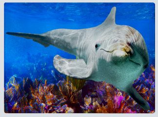 "Dolphin in the Deep" Cutting Board