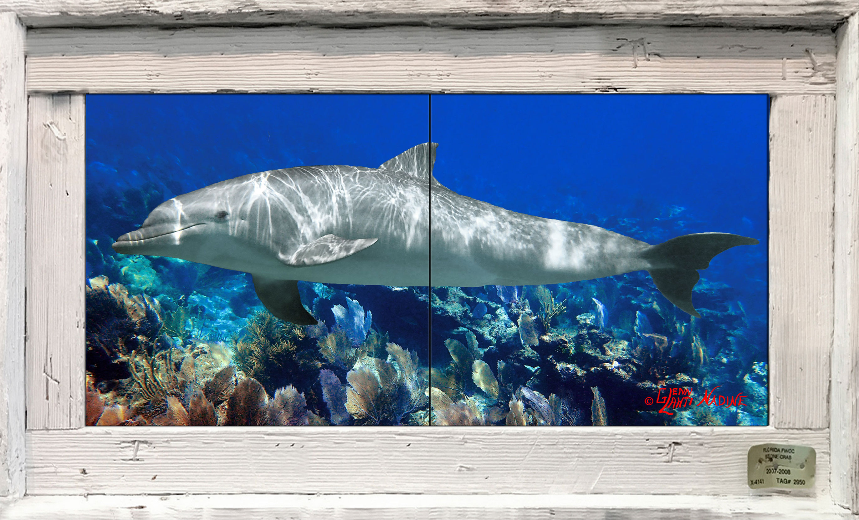 "Dolphin Over the Reef" Tile Mural