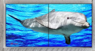 "Dolphin with Surface Water" 2 Tile Mini Mural