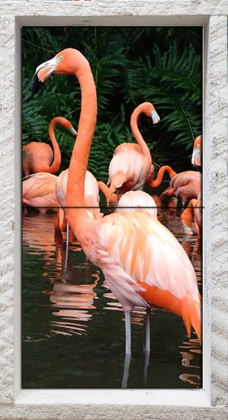 "Flamingo"