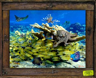 "Freeport Reef"