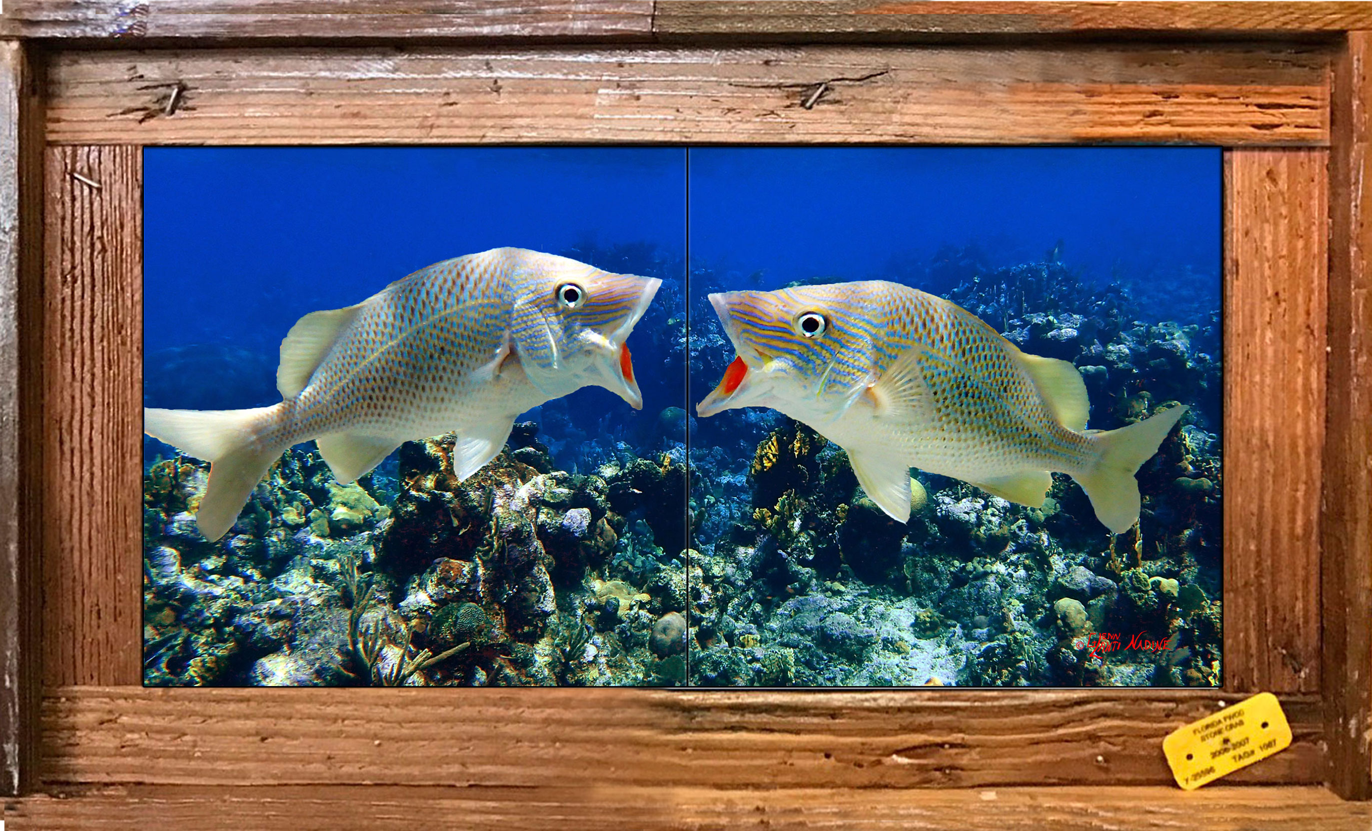 6"x12" Tile Murals