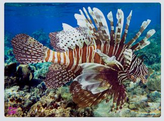 "Lionfish 2" Cutting Board