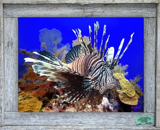 "Lionfish on the Reef"