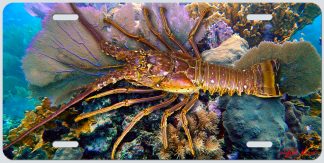 "Lobster on the Reef"