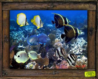 "Lovers on the Reef"