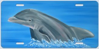 "Ocean Roamer"