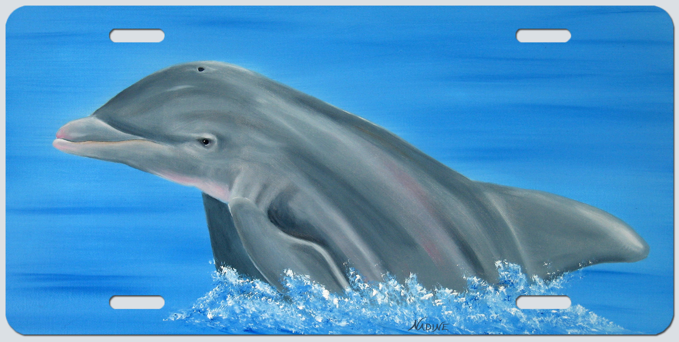"Ocean Roamer"