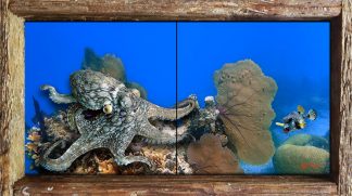 "Octopus and Boxfish"