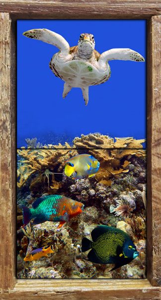 "Reef Top Flyer"