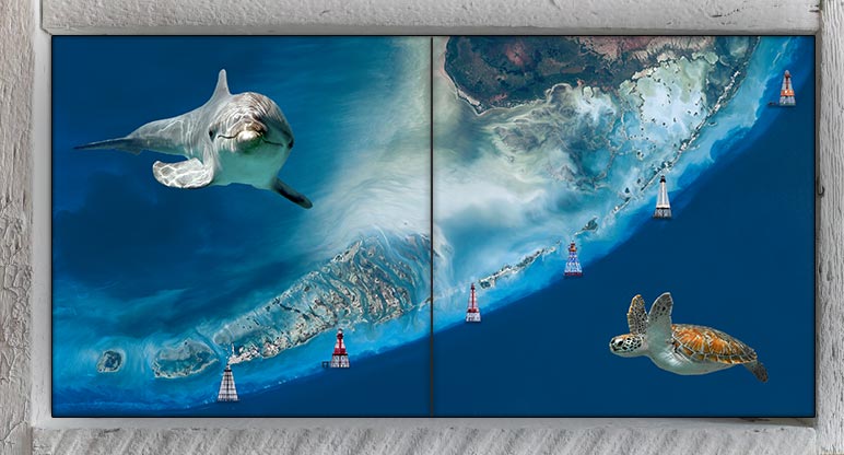 "Satellite View with Turtle and Dolphin" 2 Tile Mini Mural