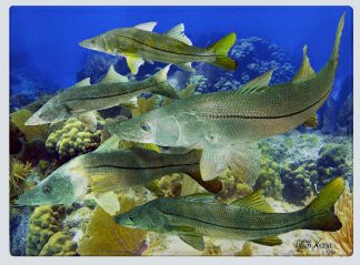 "School of Snook" Cutting Board