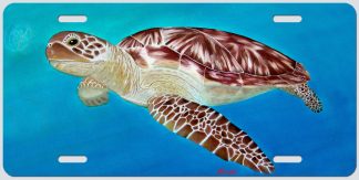 "Sea Dweller"