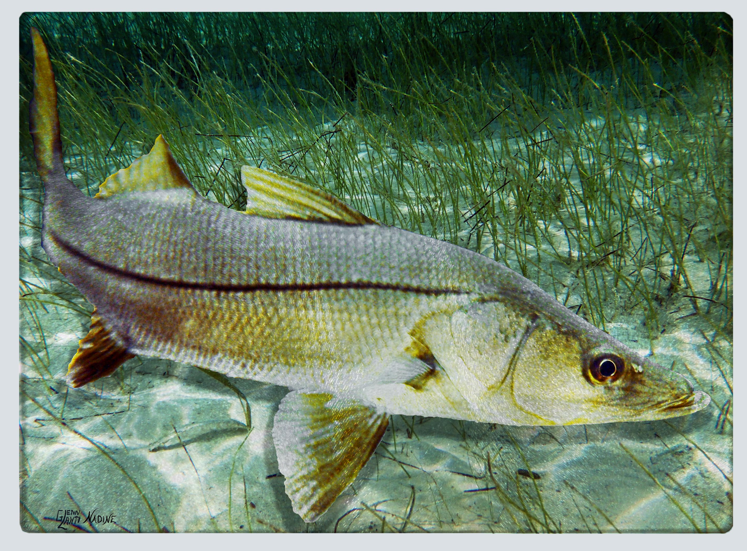 "Snook" Cutting Board