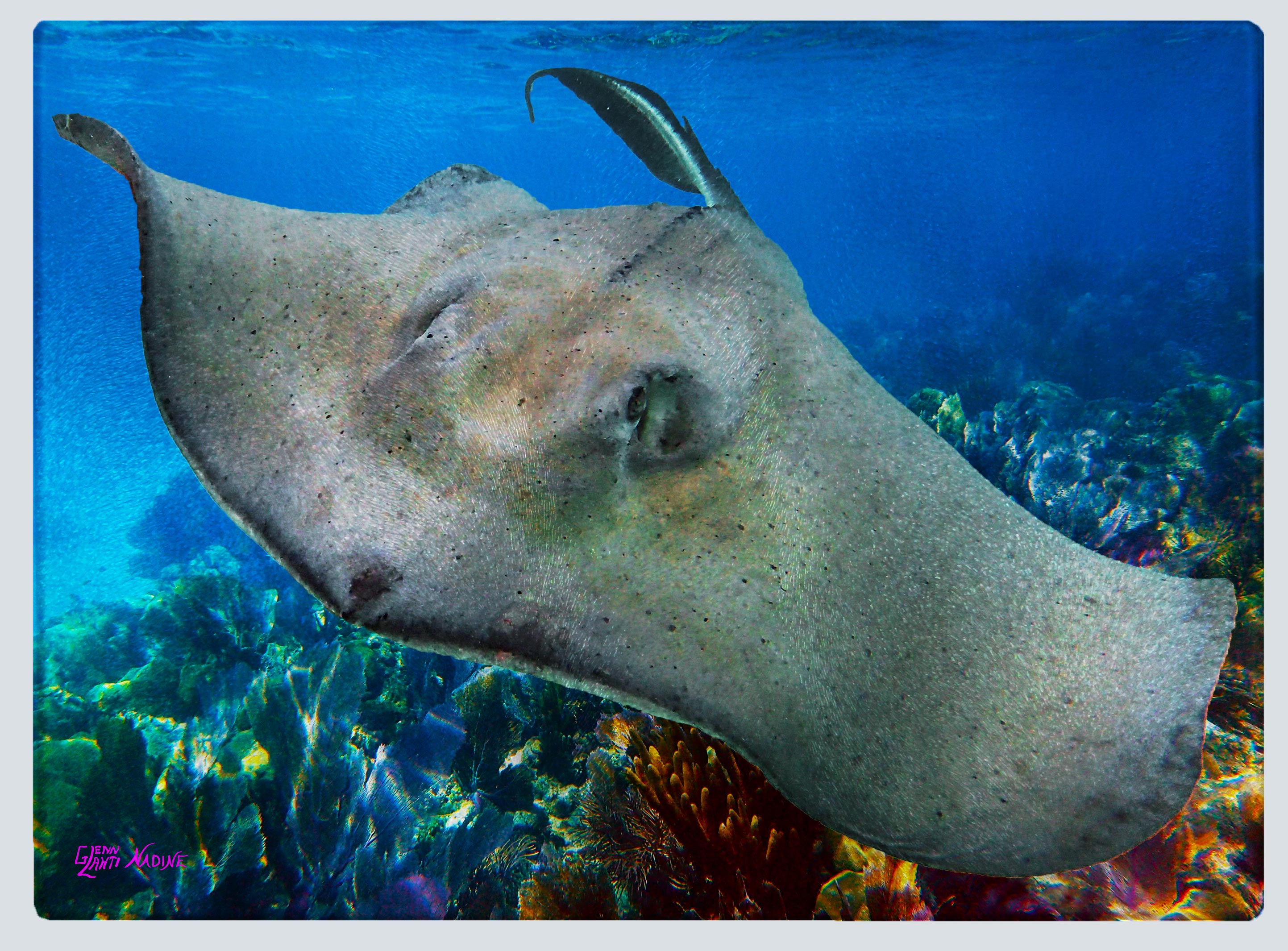 "Sting Ray 2" Cutting Board
