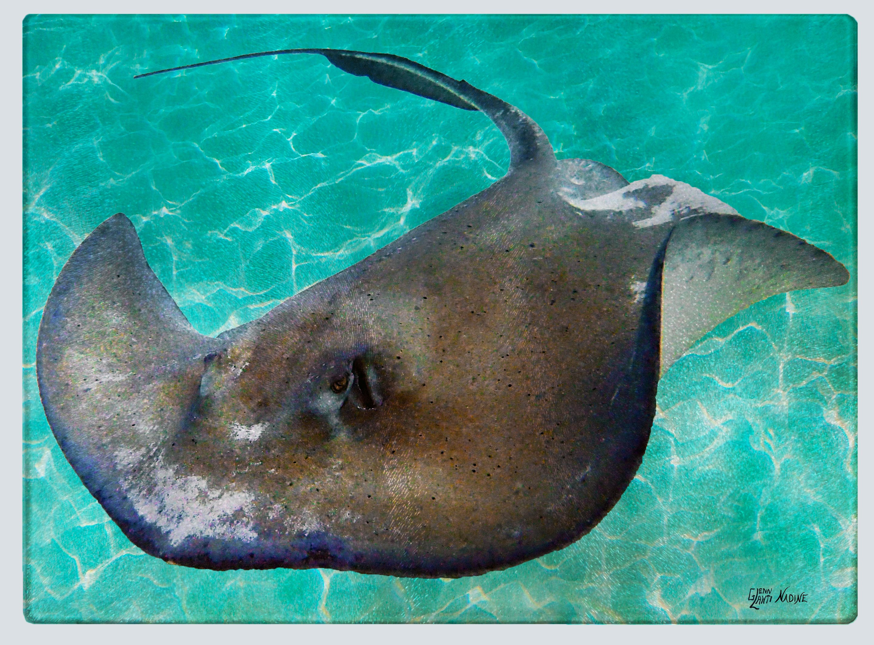 "Sting Ray 4" Cutting Board