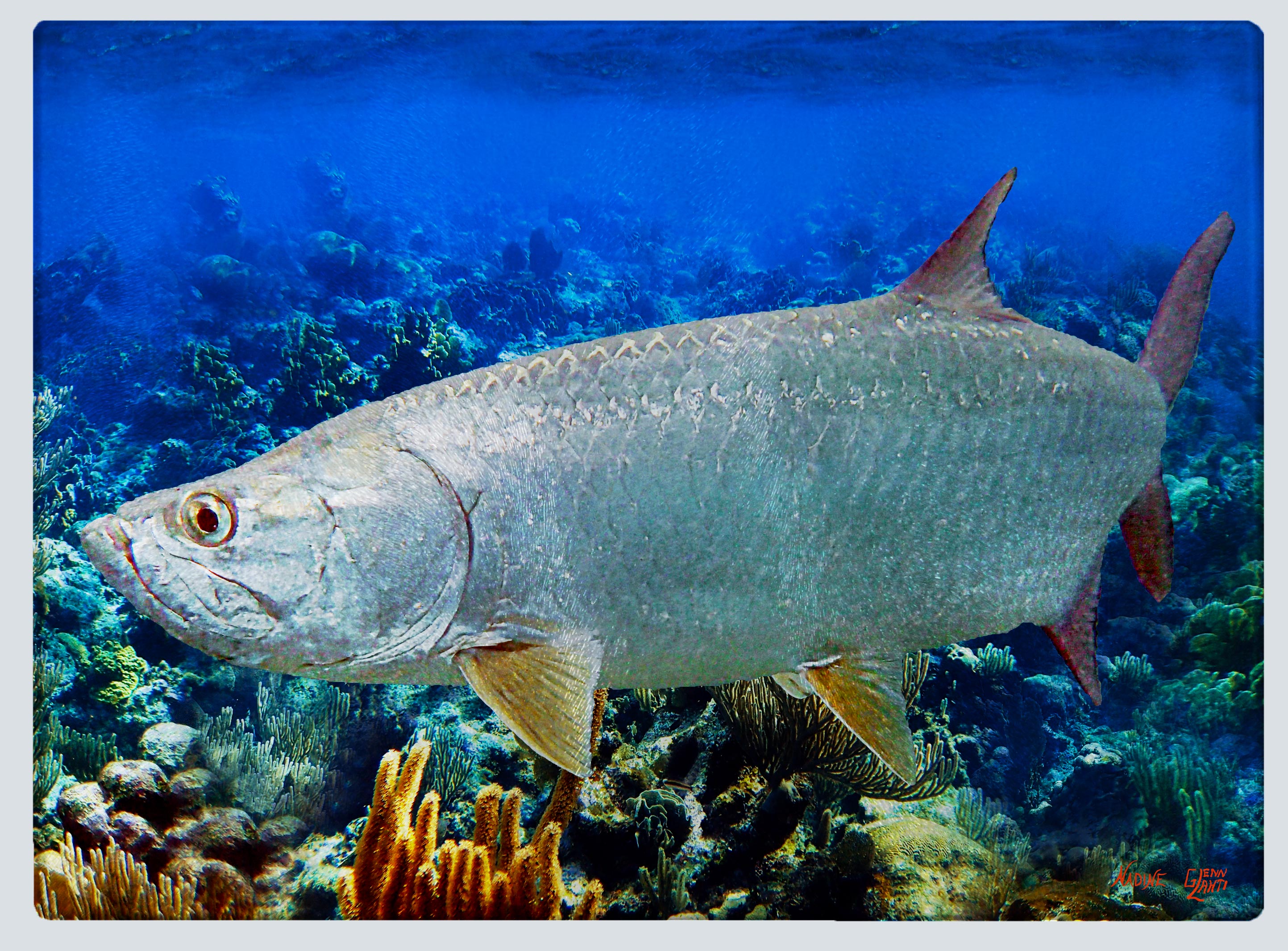 "Tarpon 3" Cutting Board