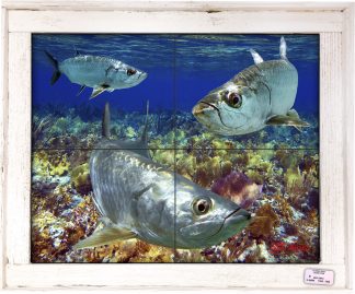 "Tarpon in the Shallows" Tile Mural