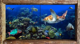 "The Aquarium"