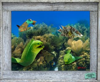"Two Morays"