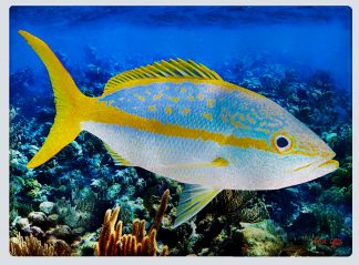 "Yellowtail" Cutting Board