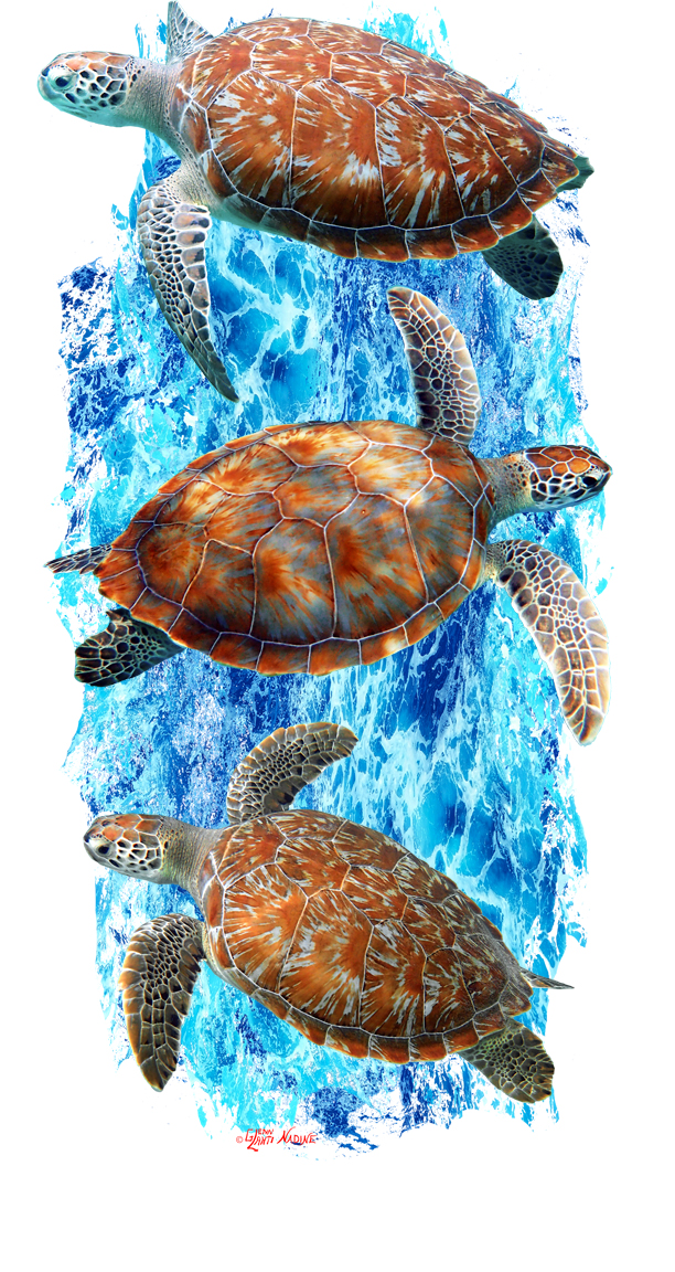 "Green Sea Turtles" Buff