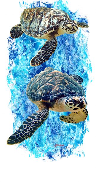 "Hawksbill Turtles" Buff