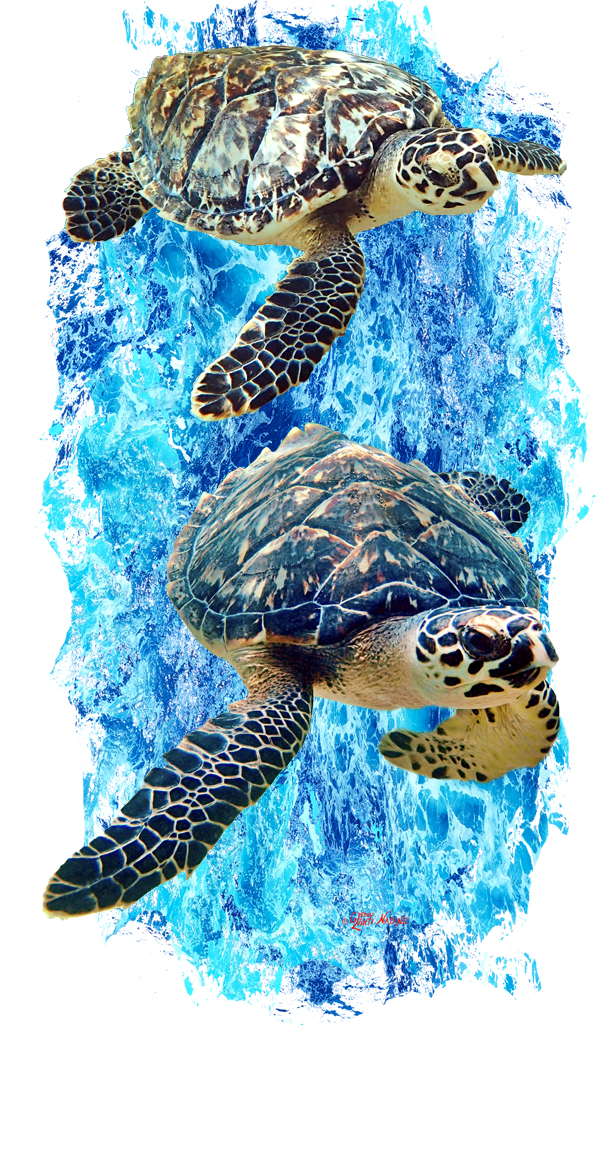 "Hawksbill Turtles" Buff