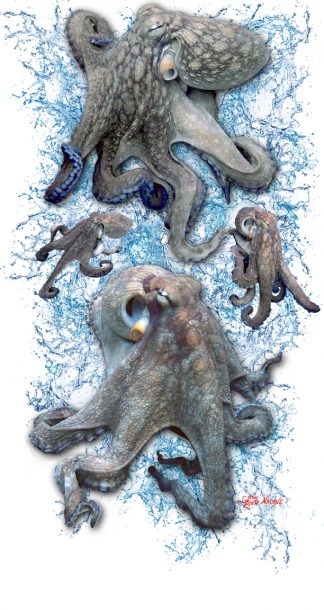 "Octopus" Buff