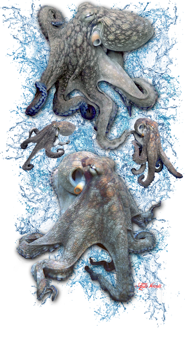 "Octopus" Buff