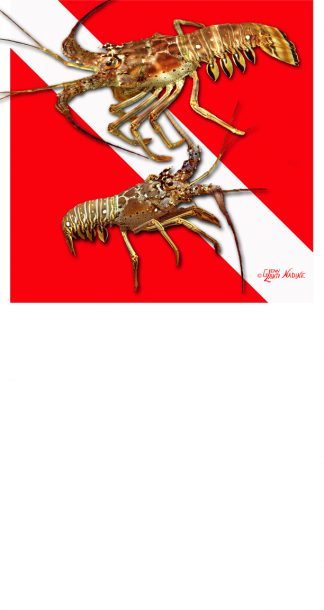 "Dive Flag with Lobster" Buff