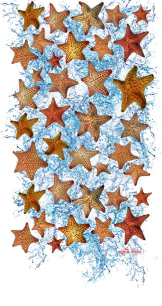 "Starfish" Buff