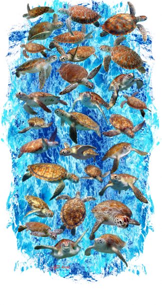 "Tons of Turtles" Buff