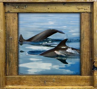 "Baby Porpoise"