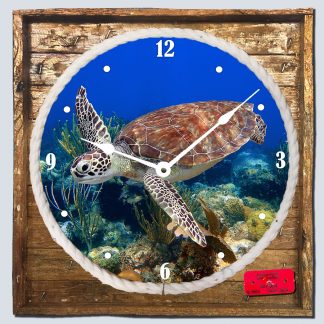 "Bonaire Turtle" Framed Clock