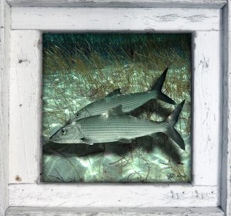 "Bonefish Pair on the Sand"