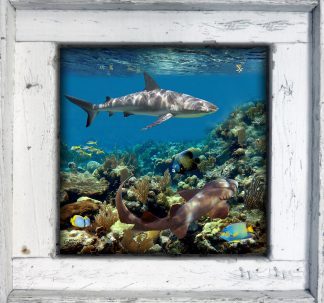 "Coral Garden"