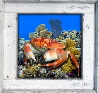 "Crabby"