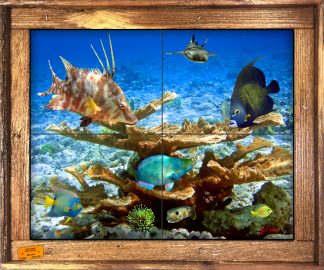 "A Coral Hangout" Tile Mural