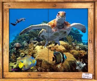 "A Coral Family" Tile Mural