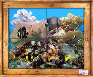 "Coral Head Reef" Tile Mural