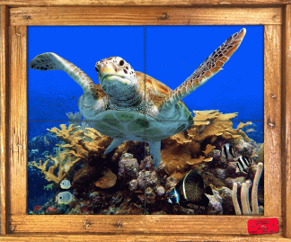 "Coral Ridge" Tile Mural