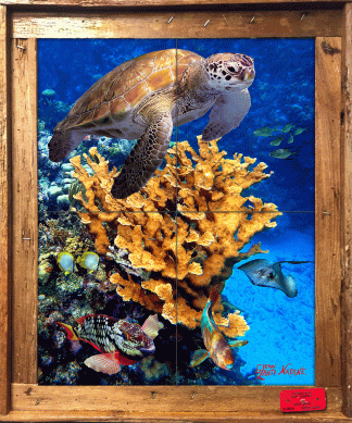 "Elkhorn Cluster" Tile Mural