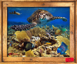 "Freeport Reef" Tile Mural