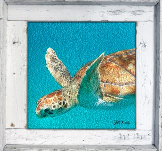 "Green Turtle Oil"