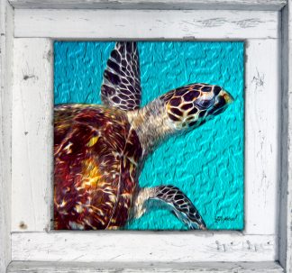 "Hawksbill 2"