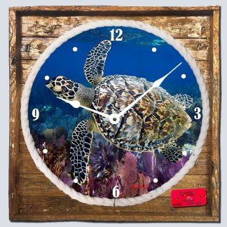 "Hawksbill Turtle" Framed Clock